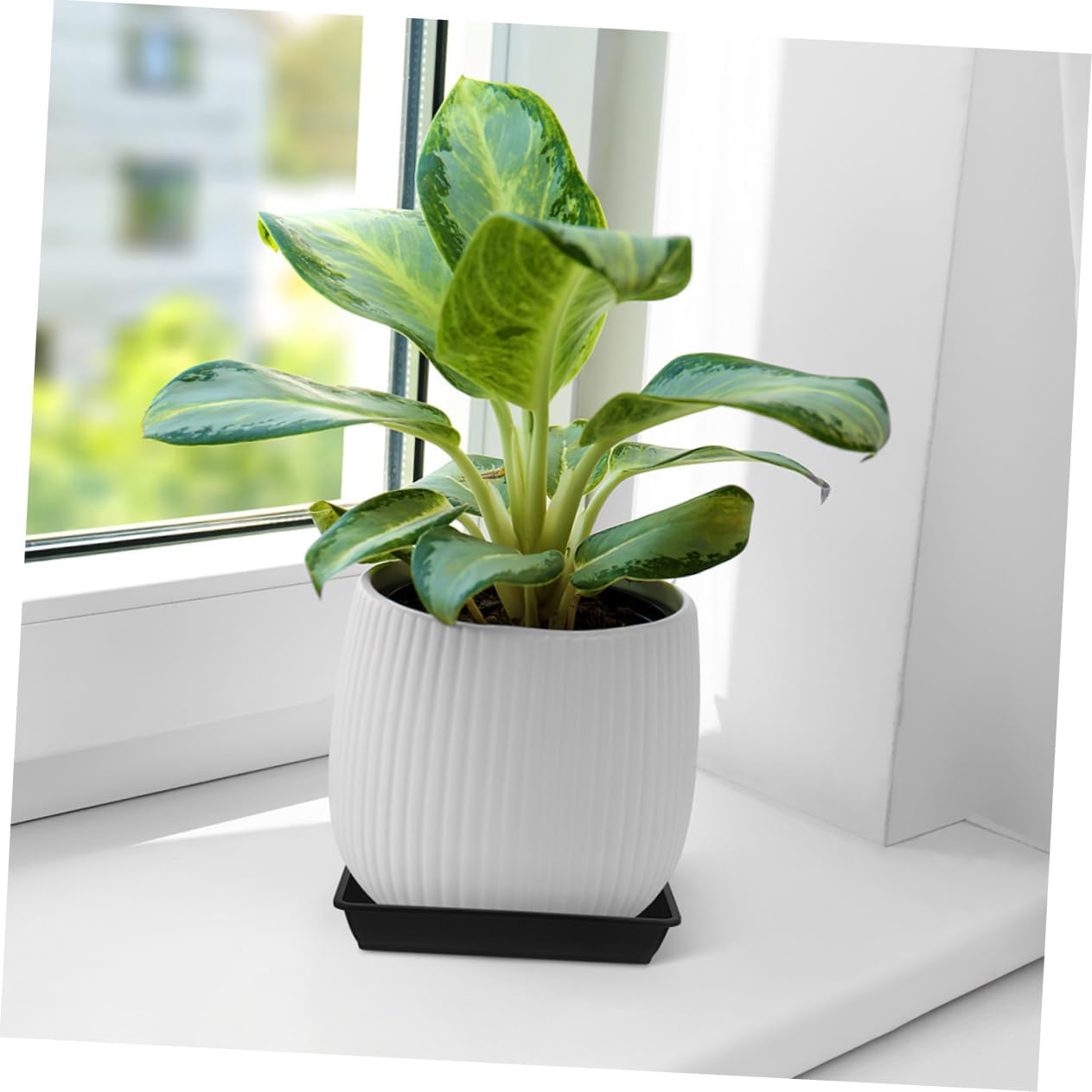 10pcs Saucer Trays Plastic Flower Pot Trays for Plants Easy to Move Prevent Spill