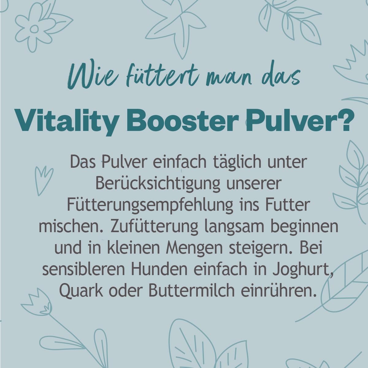 GRAU - das Original - Hokamix Vitality Booster, 1er Pack (1 x 5 kg)