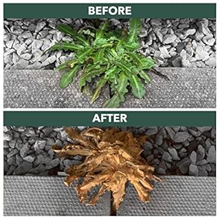 Weedblast Rootkill Weedkiller 2.5L Litre, Ready to use Glyphosate Weed Killer