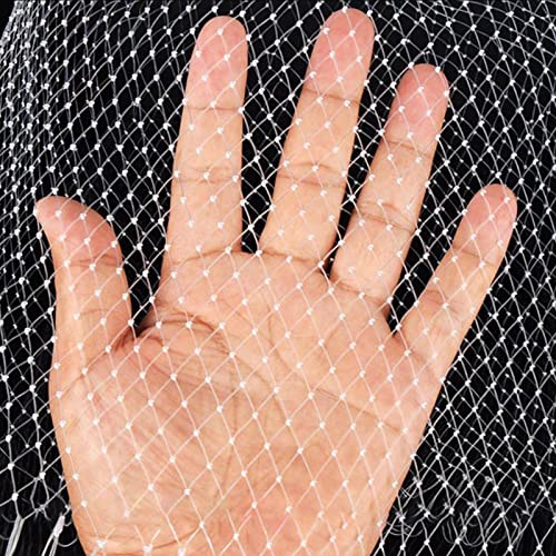 Questa Rete Anti-Uccelli per Giardini e fattorie - Protezione Resistente in Nylon per stagni, tralicci e Colture - 35x35 m (115x115 Piedi) - Maglia da 2 cm - Protezione Efficace per Alberi e
