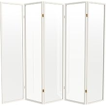 Red Lantern 6 ft. Tall Clear Plastic Partition White 5 Panel