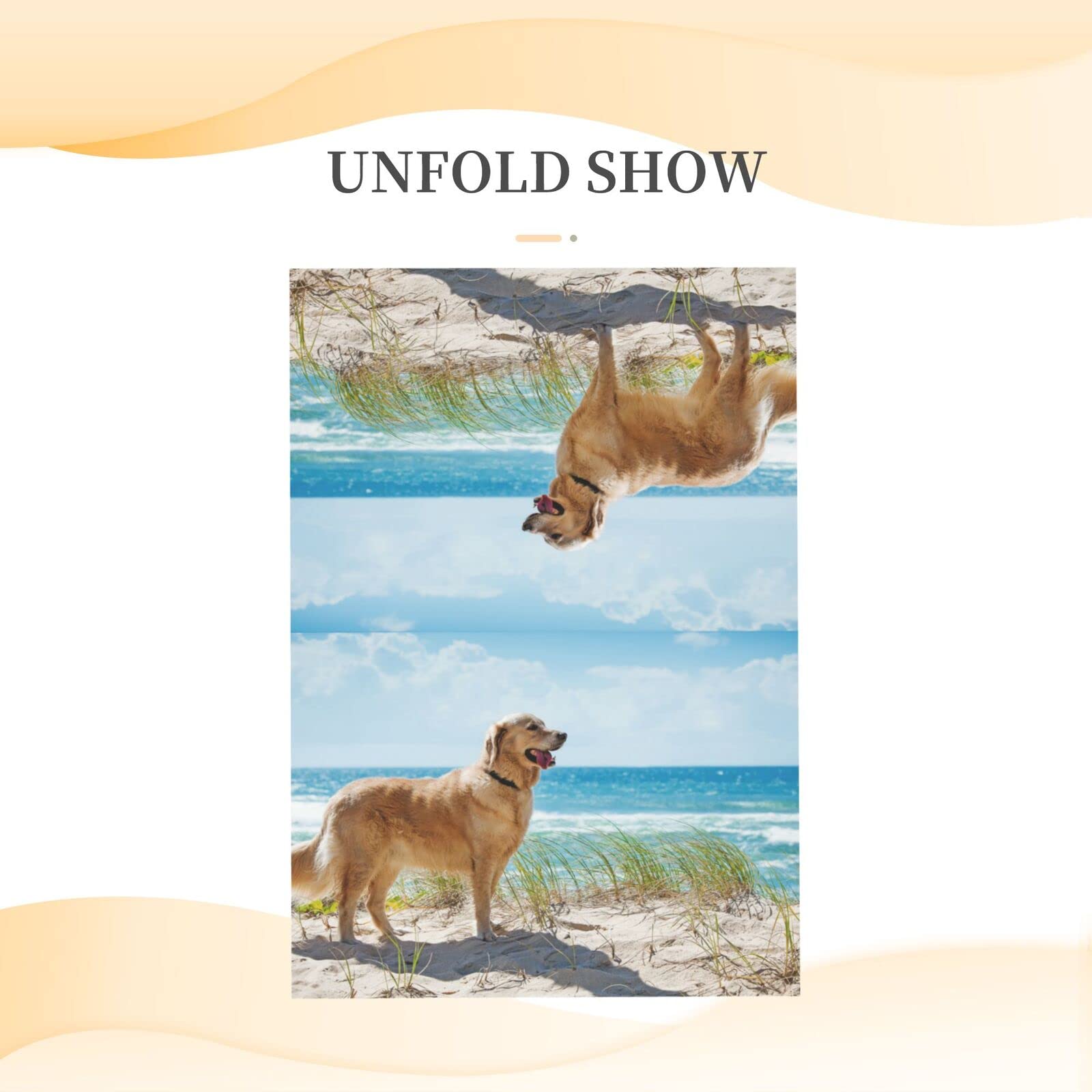 Golden Retriever Grußkarte Mit Umschlag – 12,7 X 17,8 Cm, Blanko Innen, Für Geburtstag & Mehr