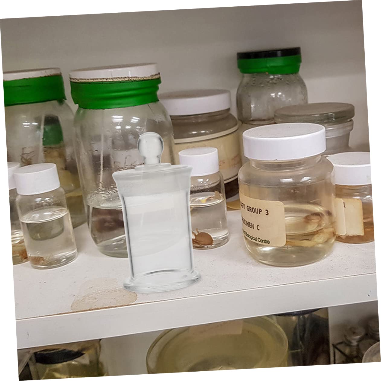 PRETYZOOM Botella de Muestra de Laboratorio de Vidrio Borosilicato 2 Piezas | Tapa, para Almacenamiento de Líquidos y Especímenes, Uso en Colegios, Fácil de Limpiar
