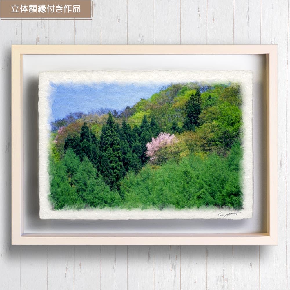 アクリル画（山桜）
