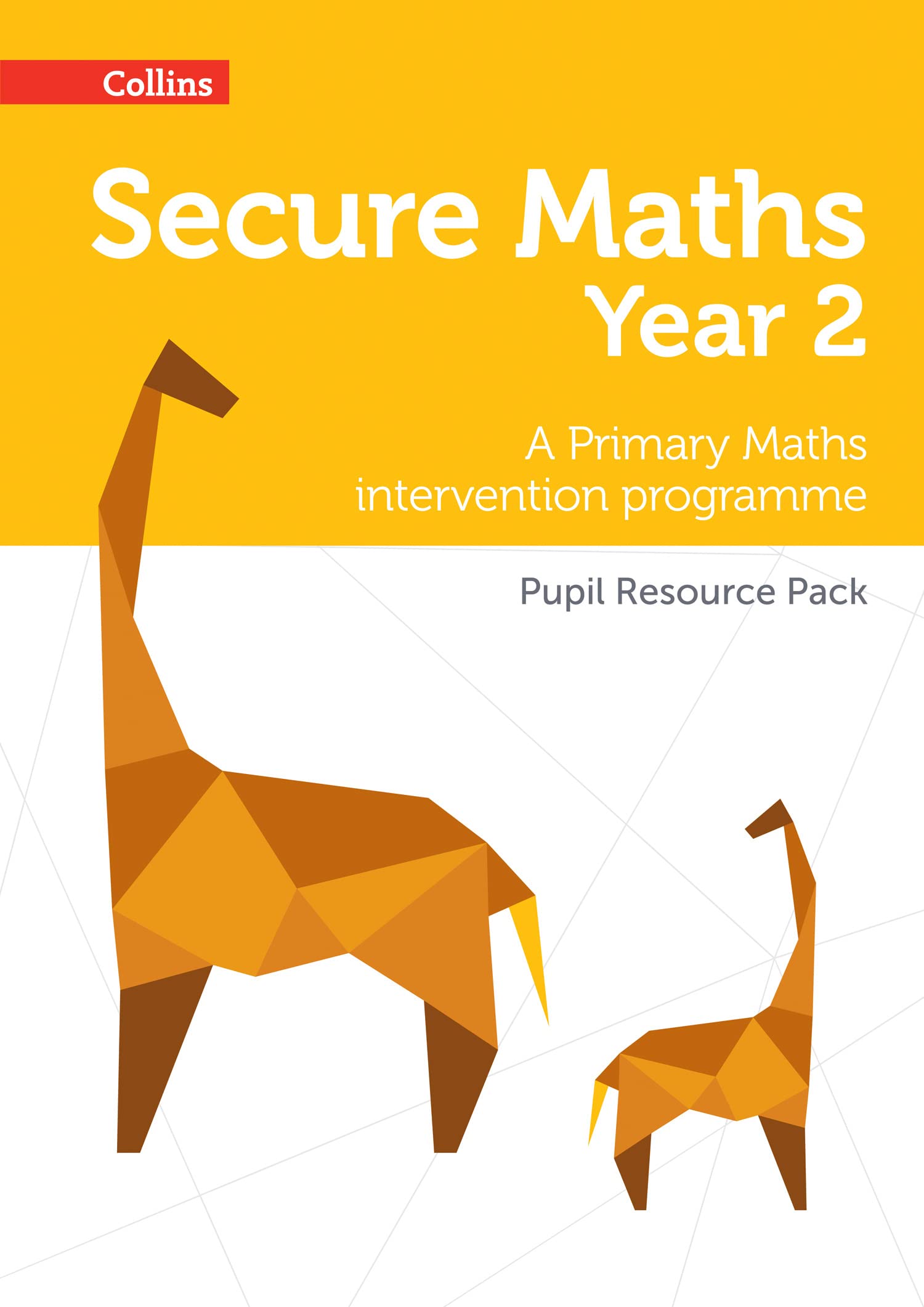 Secure Maths - Secure Year 2 Maths Pupil Resource Pack: A Primary Maths Intervention Programme
