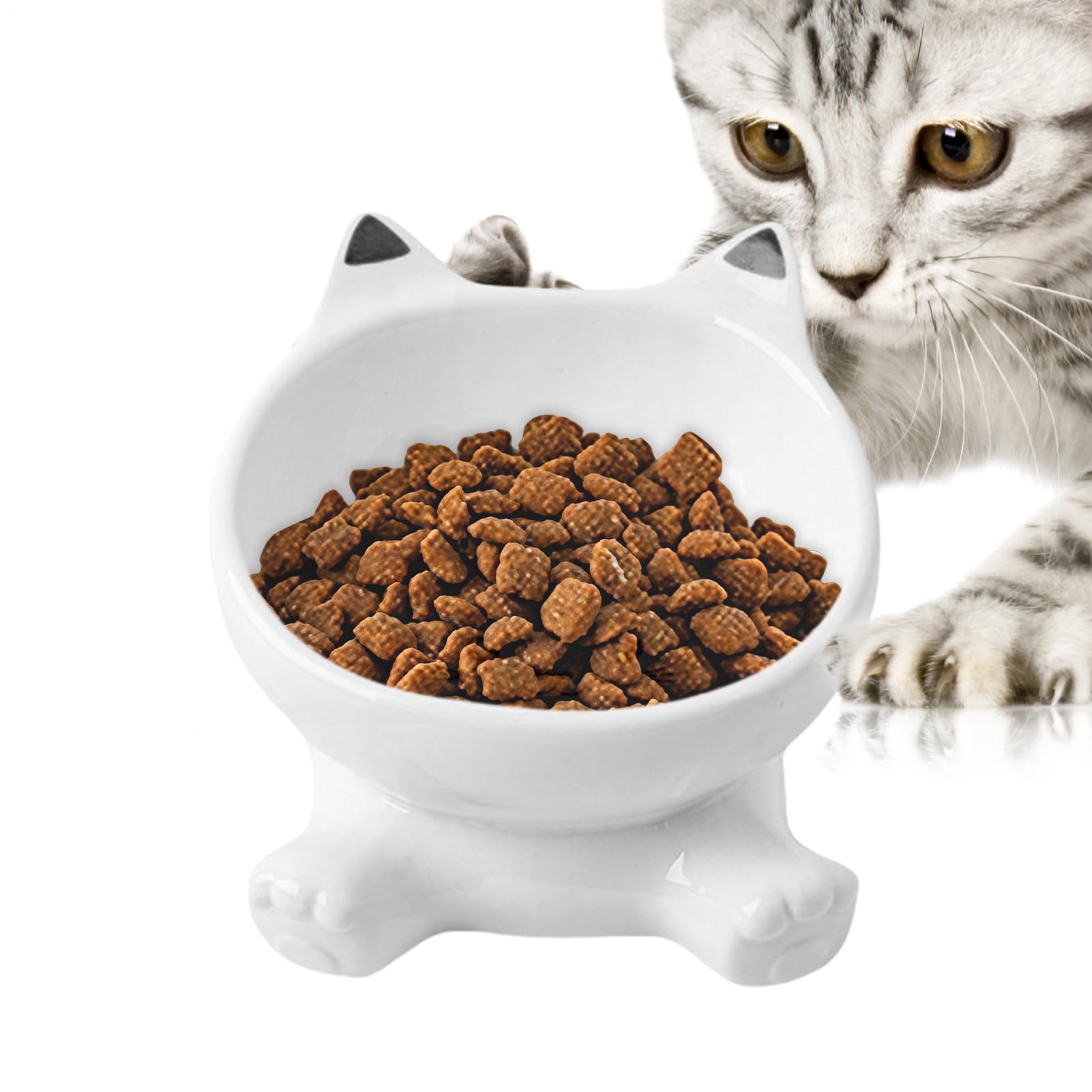 Bol surélevé pour chat en version surélevée et design anti-renversement