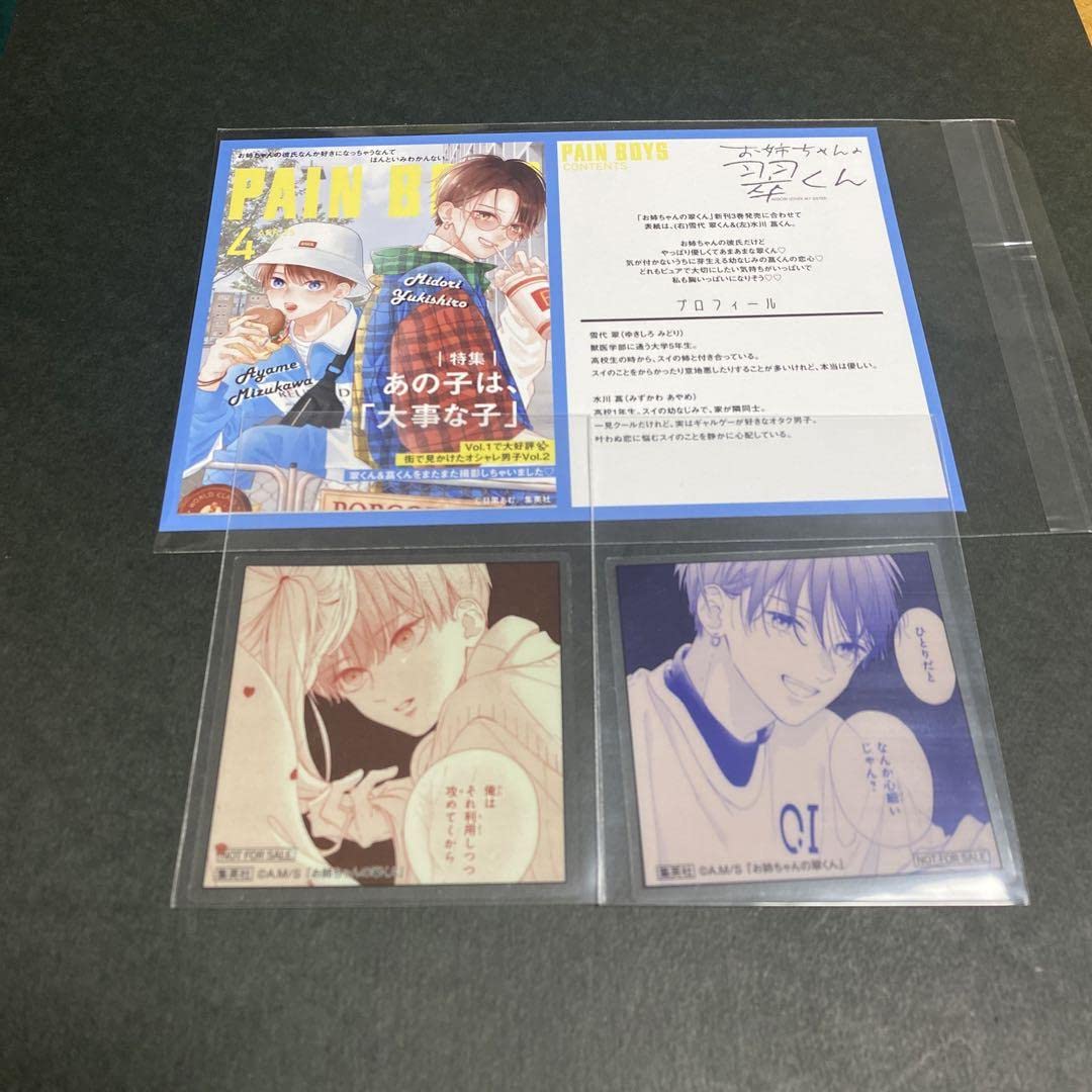 Amazon.co.jp: お姉ちゃんの翠くん3 特典 クリアステッカー&イラスト