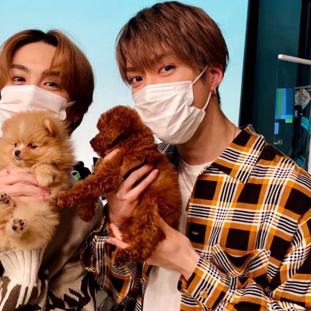 【新品未使用】藤原樹 着用同型 シャツ Mサイズ チェック柄【稀少】 Amazon.co.jp: 藤原樹 着用同型 シャツ Mサイズ チェック柄 肩幅