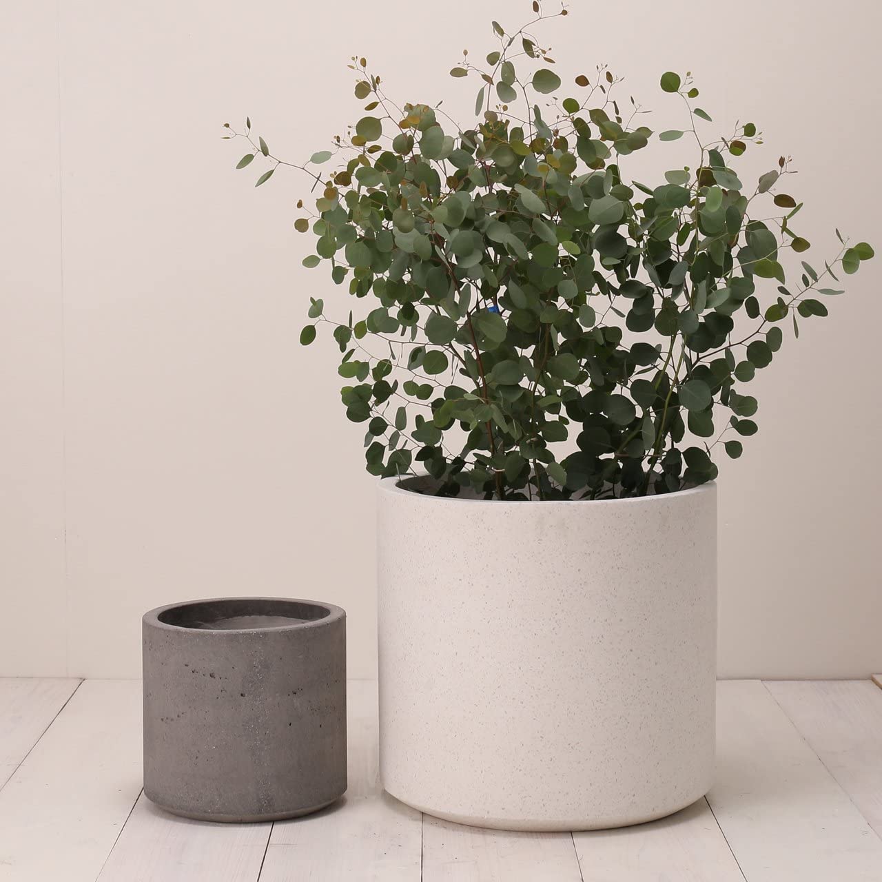 植木鉢 大型 コルテス ラウンド 40 グレー セメント 楽天市場】コルテス ラウンド 40 ≪植木鉢 ラフ セメント
