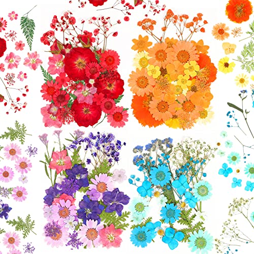 100 Flores Secas Prensadas para Manualidades DIY miniatura 1