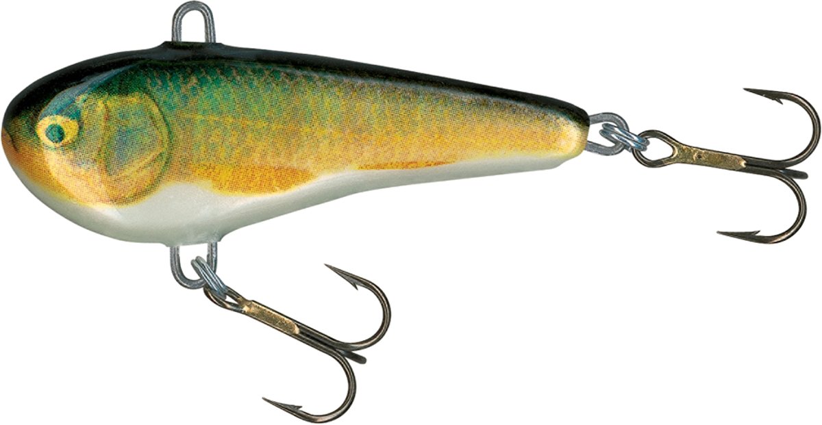 Salmo CD5-RR Chubby Darter Lure, Real Roach, 2-Inch