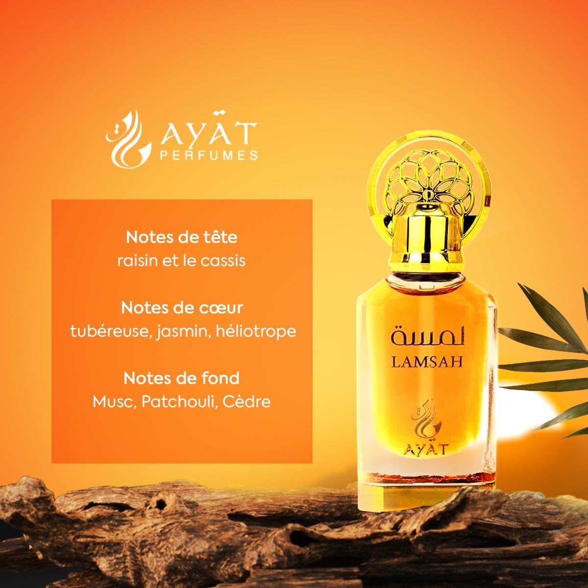 Ayat Perfumes – Aceite de perfume 12 ml – Extracto de perfume sin alcohol, unisex, oriental, árabe, oud, natural, ámbar – Perfume de dubai (Lamsahh)