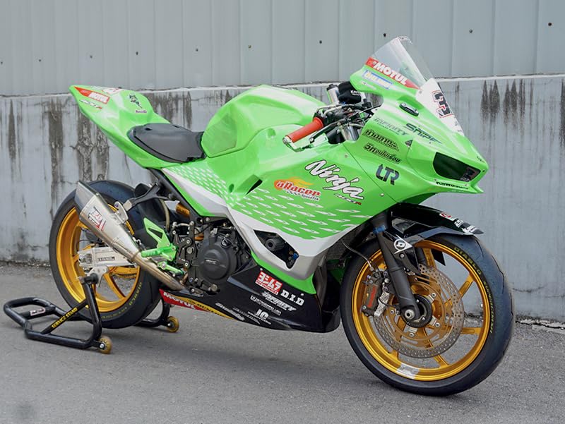 Amazon | NINJA250 NINJA400 Z250 Z400 ABS対応 バックステップ 緑