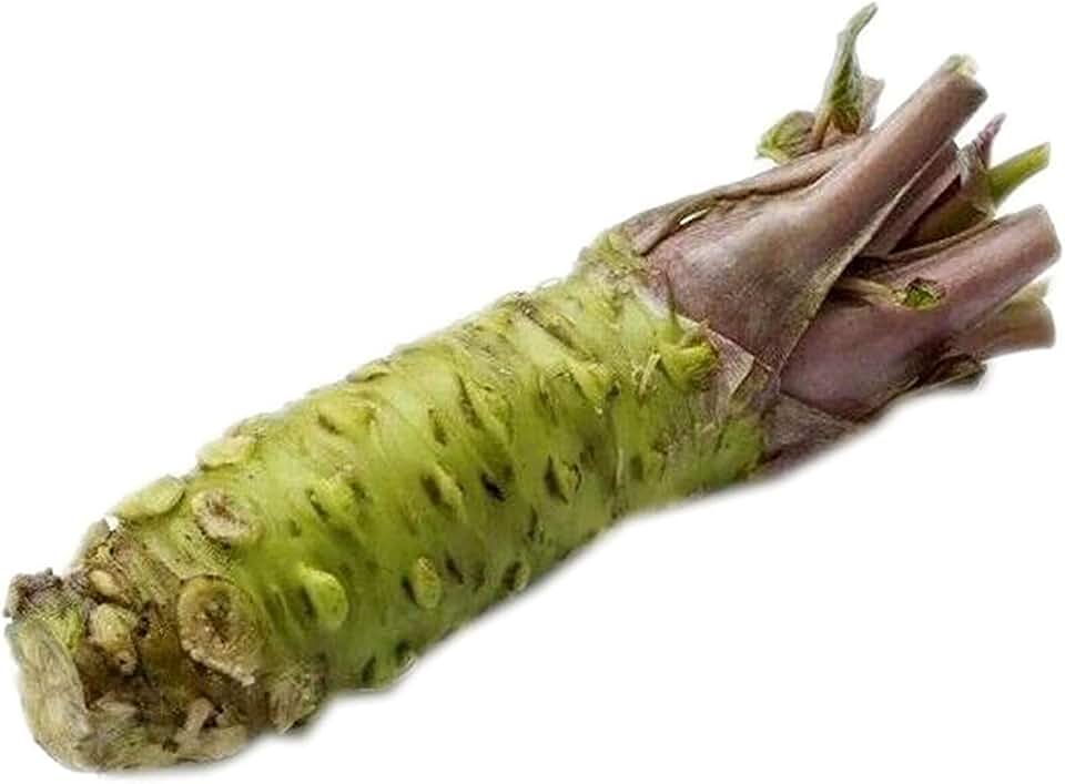 Amazon.co.uk wasabi plants