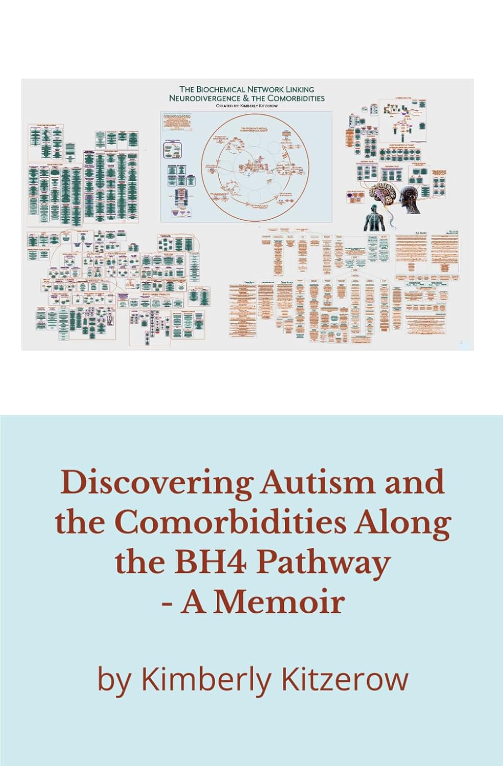Cover of Discovering Autism and the Comorbidities Along the BH4 Pathway by Kimberly Kitzerow