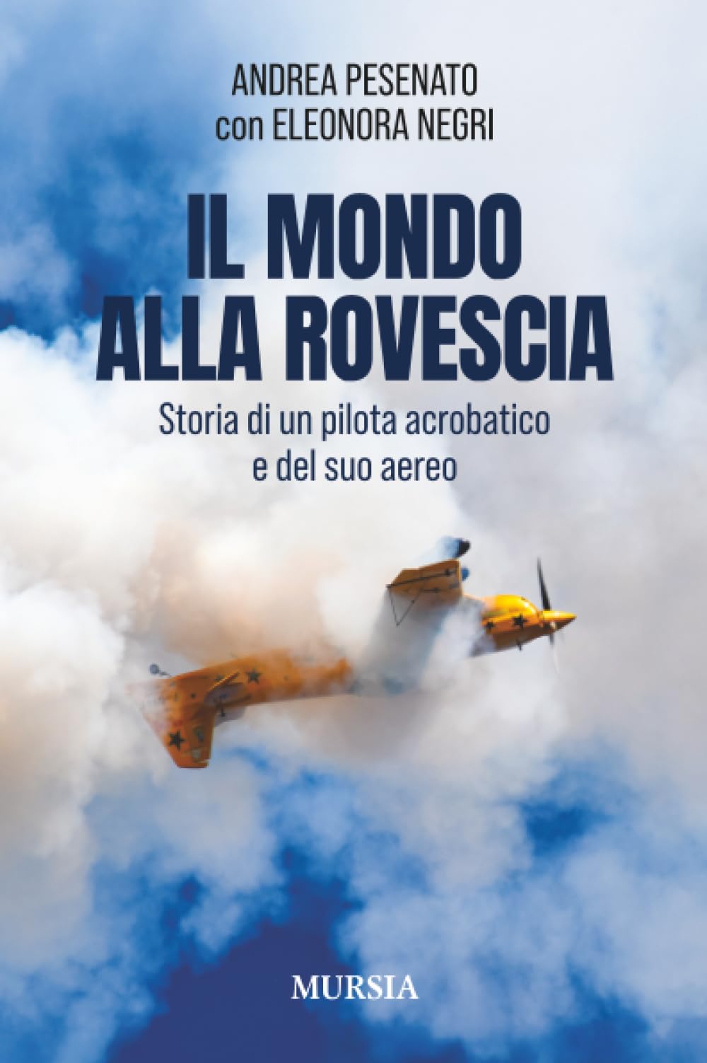 Il mondo alla rovescia: Storia di un pilota acrobatico e del suo aereo (Il volo)