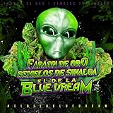 El de la Blue Dream (feat. Los Gemelos de Sinaloa)