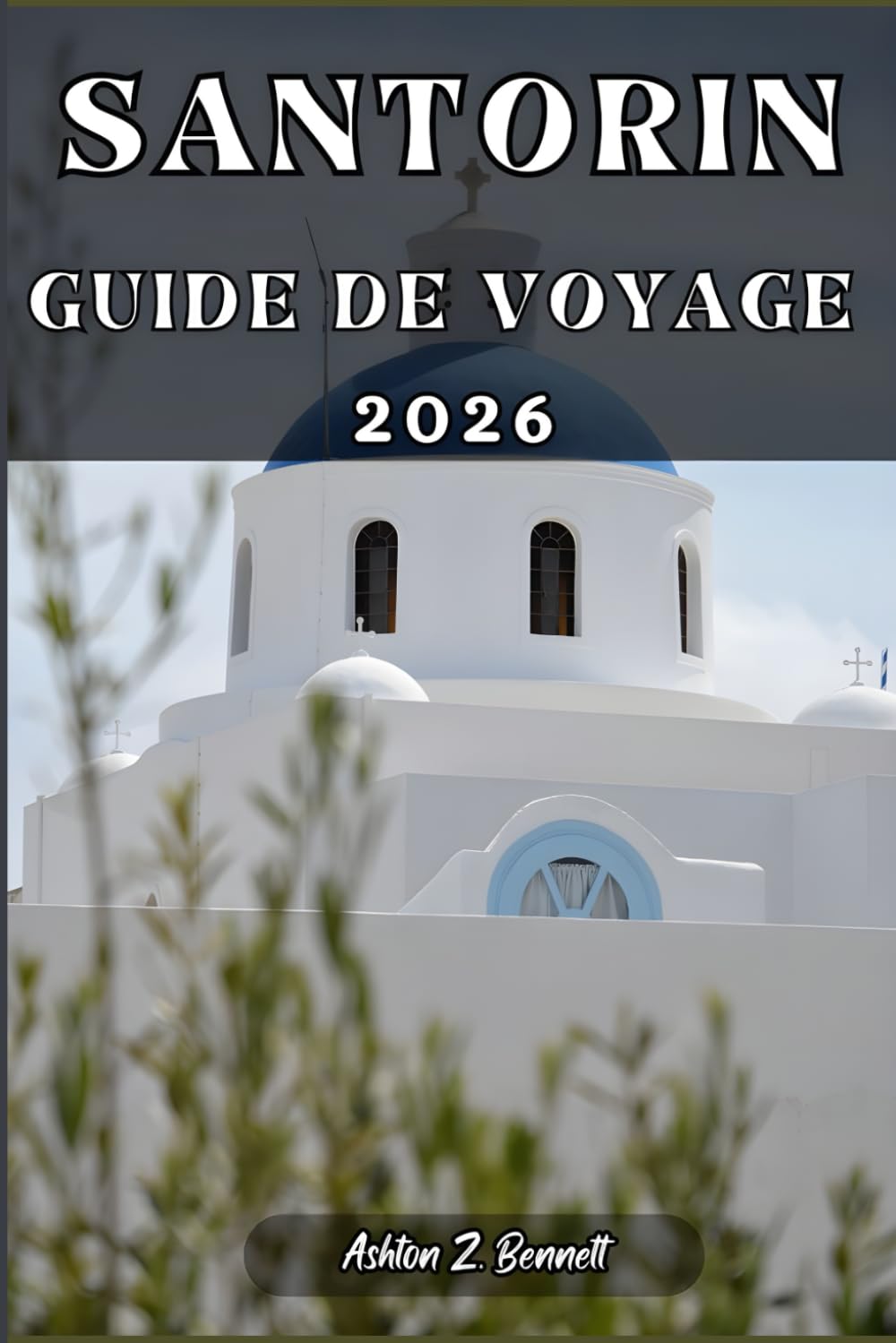 SANTORIN GUIDE DE VOYAGE: Votre guide touristique pour un séjour mémorable lors de votre visite de cette destination.