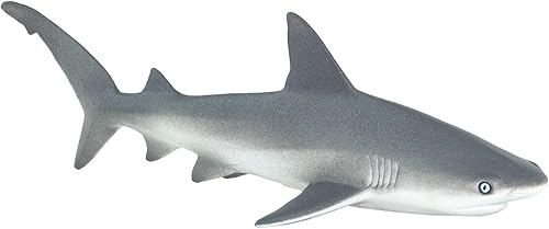 Miniatura 4 de Safari Ltd. Figura de tiburón de arrecife gris, figura detallada de modelo de plástico de 6.25 pulgadas, divertido juguete educativo de juego de