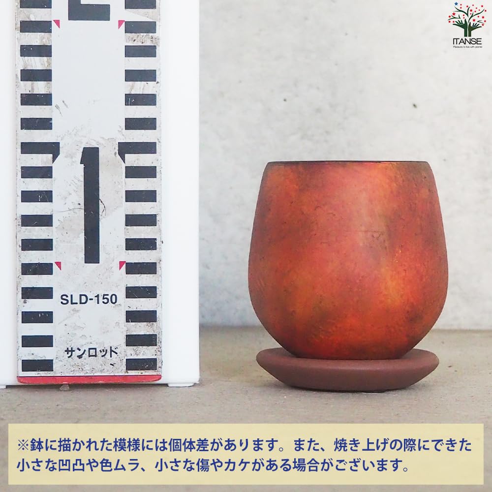 Amazon.co.jp: ITANSE 皿付陶器鉢 彩色焼磁 オレンジ 8cm 4個