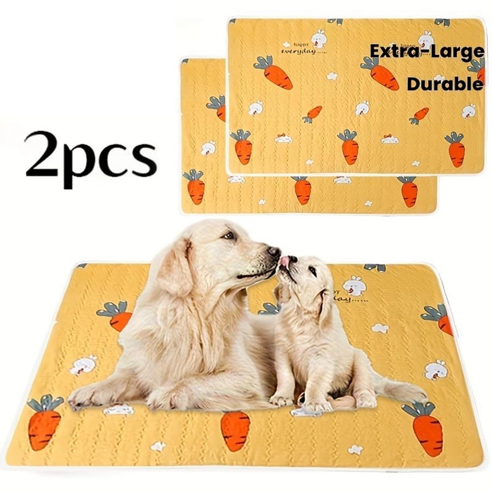 Tapis réutilisable et Lavable Absorption 100x150cm