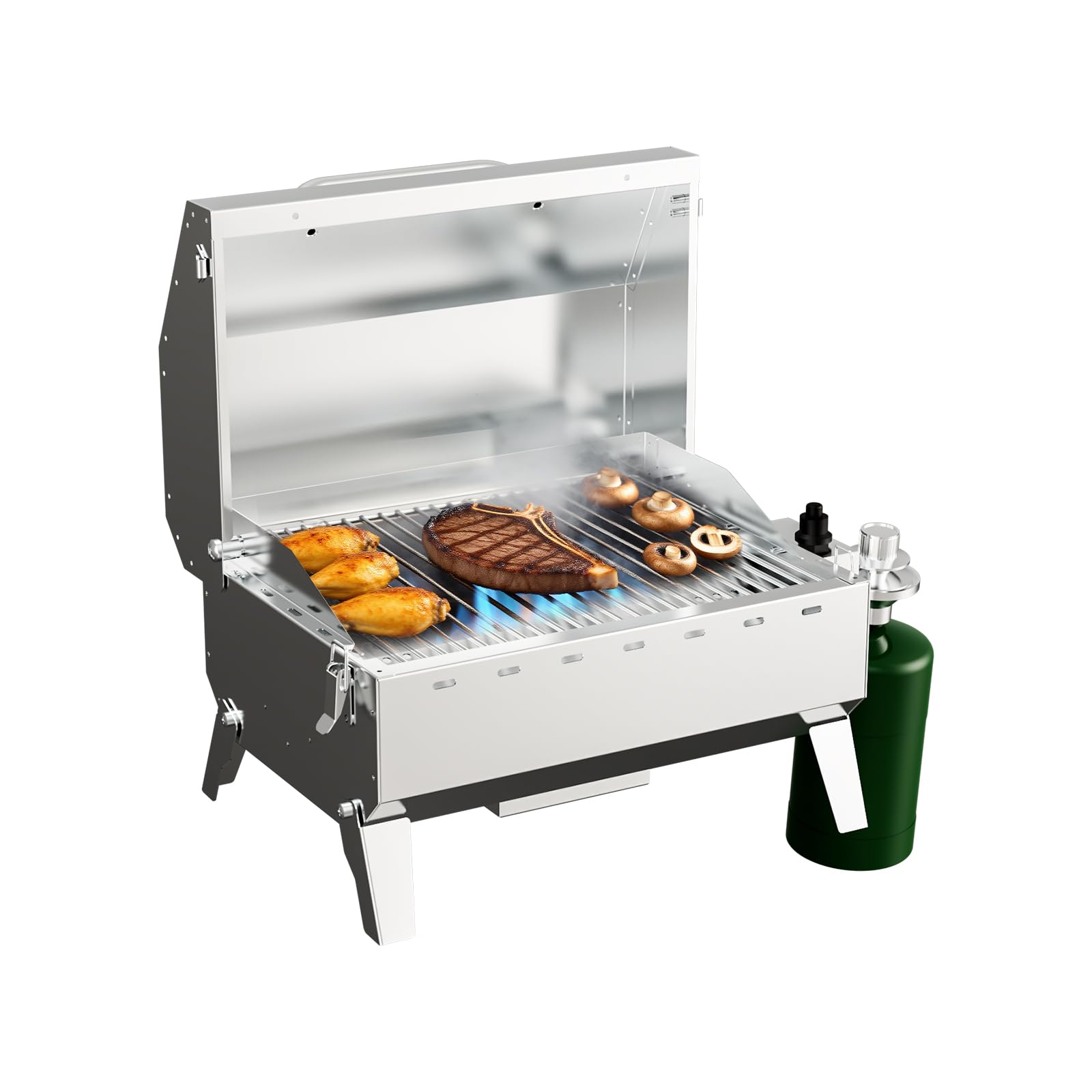 LOUAORIS portable propane grill