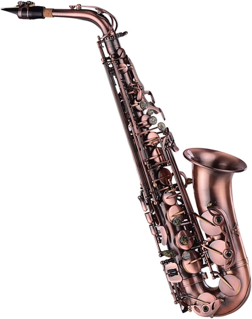 Amazon.co.jp: サックス Bフラット高音曲管サックス大人用小型曲管楽器初心者入学試験ゴールドグレード初心者試験 : Musical  Instruments KERREY 大人の演奏レベルに適したBフラットの小さな湾曲したサックス楽器 学生サックス初心者