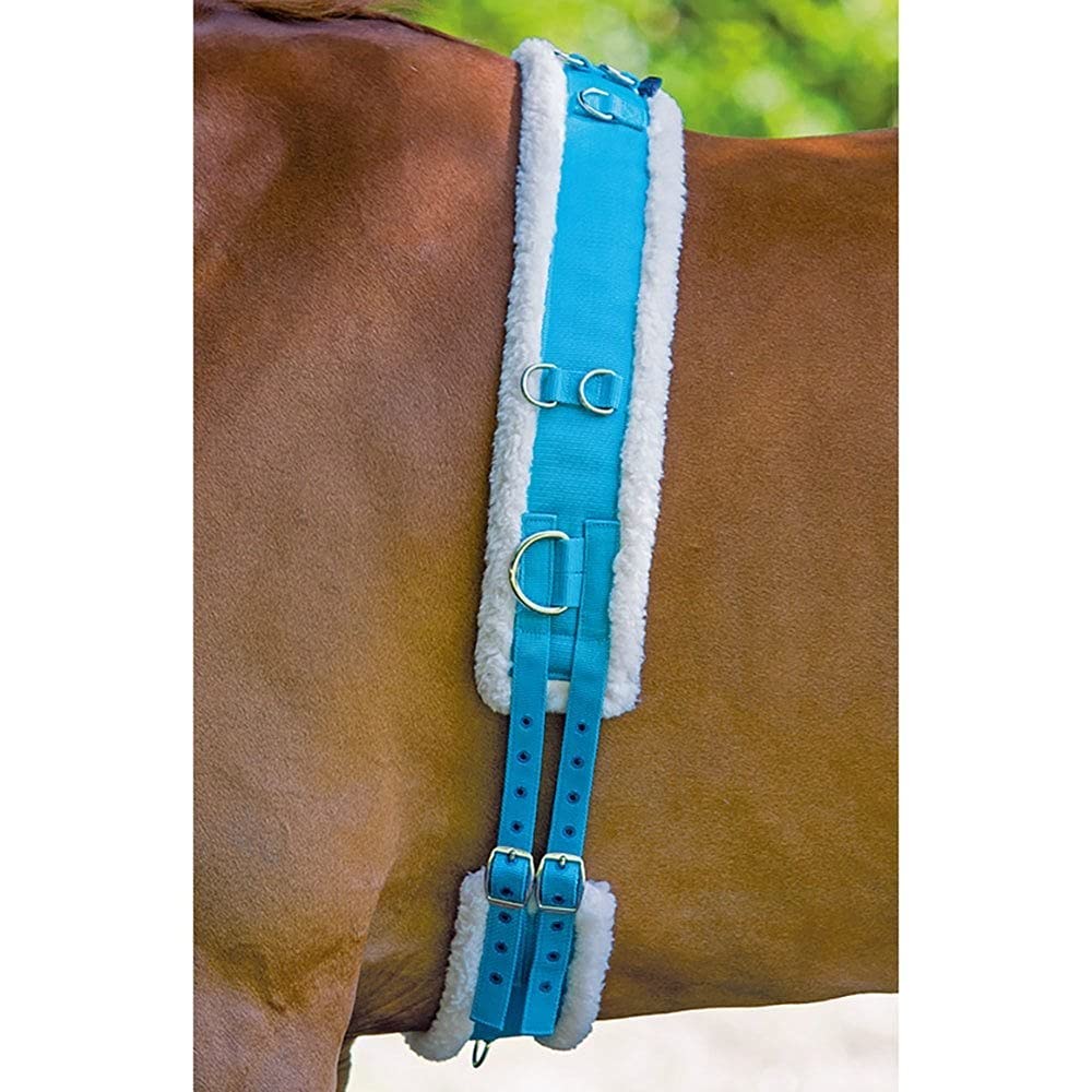 Muselière réglable en Nylon pour chien, avec rembo... – Grandado