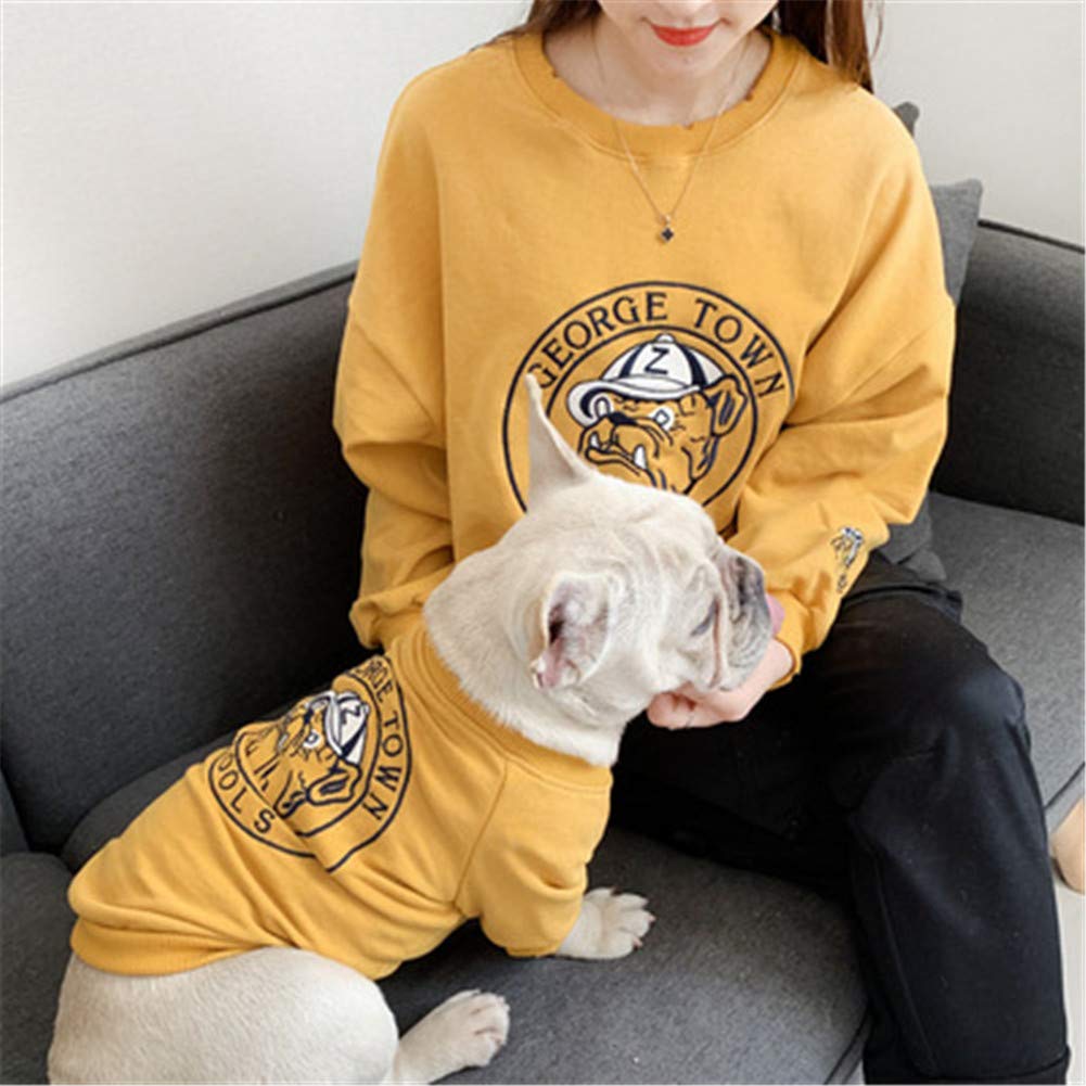 Vêtements pour animaux bouledogue français : finis les frissons avec ce chat chandail S