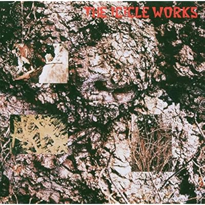 The Icicle Works