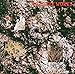 Icicle Works