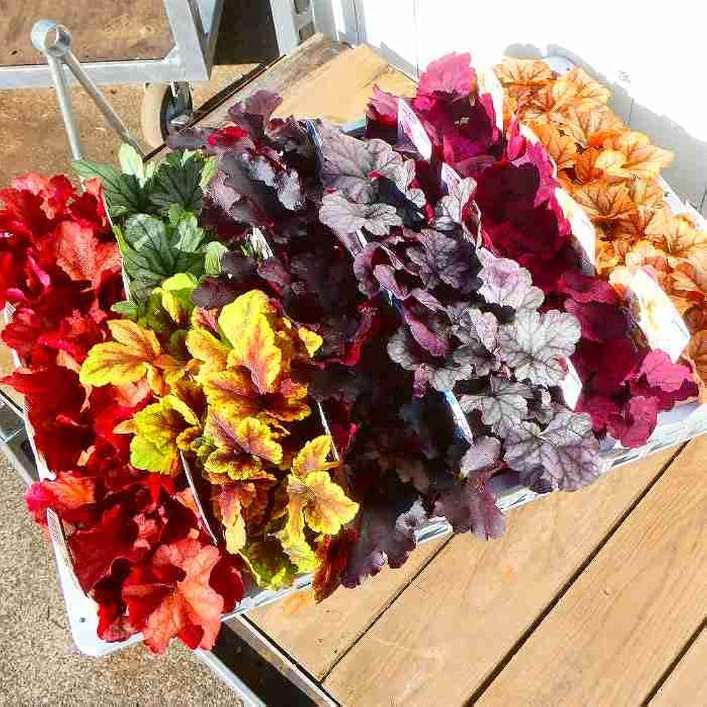 レイミア リーフ レイミア リーフ レイミア リーフプロップ 新品未使用 ZX Fury