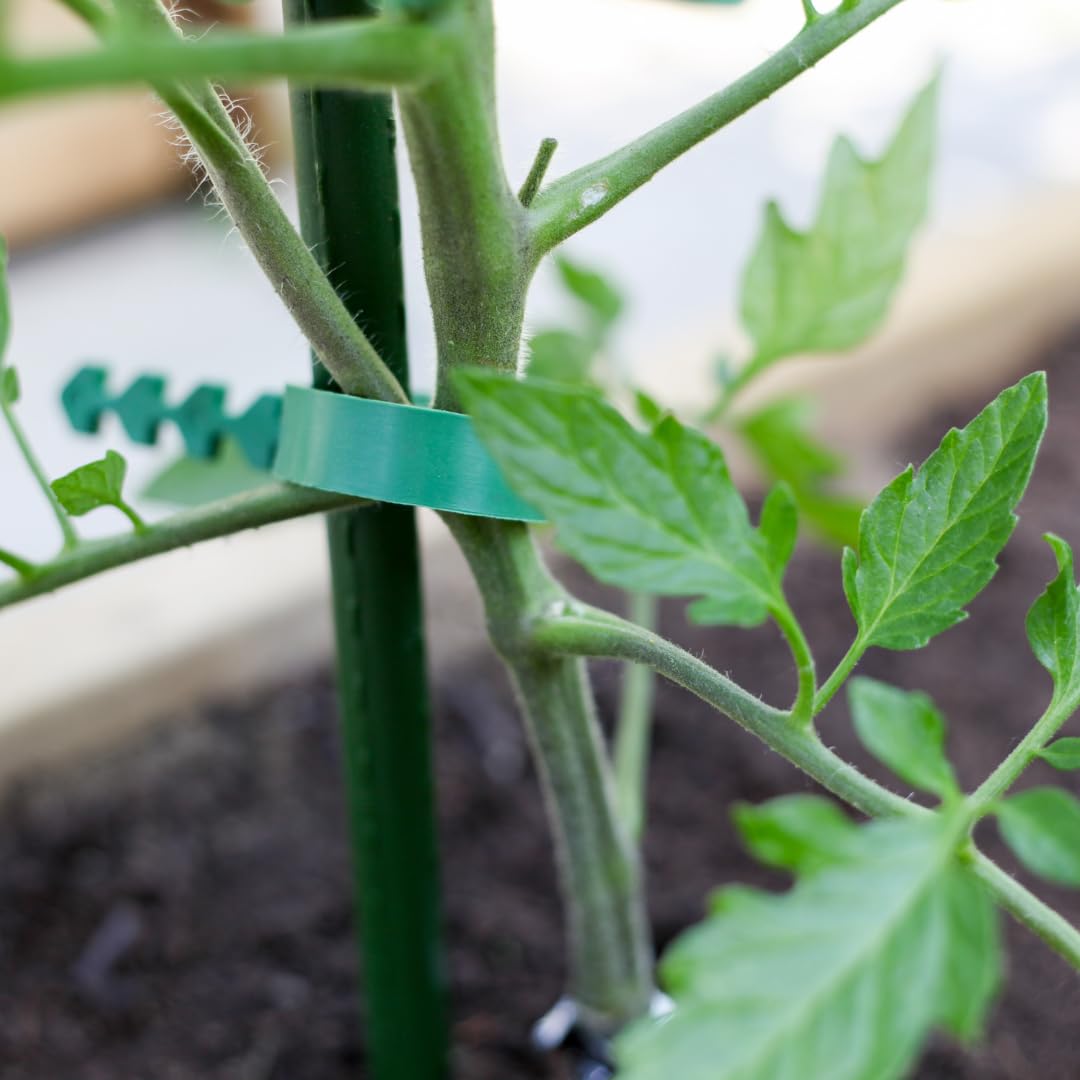 Set di 10 Supporti per Piante – Tutori in Acciaio Plastificato di Varie Misure – Pali per Pomodori, Bastoni e Paletti per Orto e Giardinaggio – Accessori per Vasi e Fioraio (210 CM)