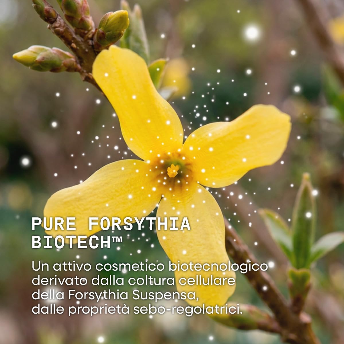 Omia Oxygenium, Crema Viso Anti-Imperfezioni per Pelli Miste, Regolarizza il Sebo e i Pori Dilatati, Uniforma e Opacizza la Pelle, Formula Vegana, 40 ml