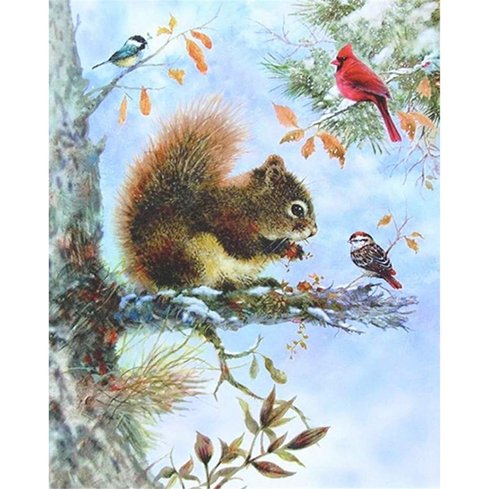 Diamond Painting Oiseaux et Écureuils Broderie 5D DIY Déco Salon 50x70cm
