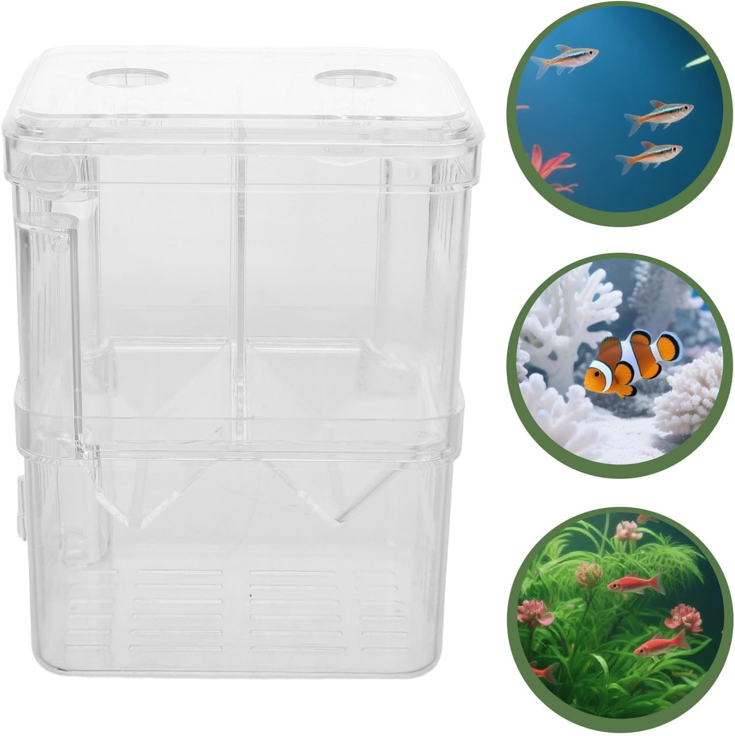 POPETPOP Acrylic Floating Fish Breeding Isolation Box with Easy Installation and Portable Design 2pcs for Aquarium Suitable for Injured Fish and Fry in Small Aquariums