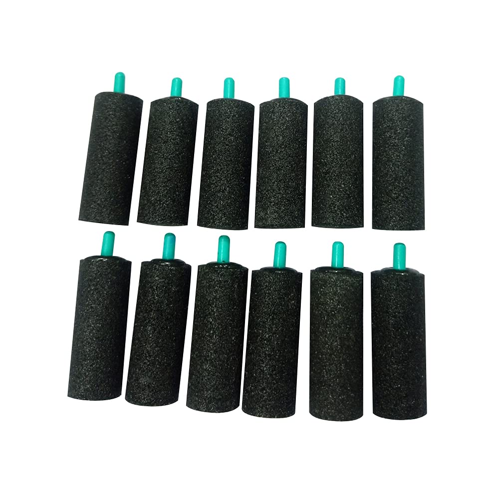 Grand Air Stone Cylinder LXD: 2 X 3/4-inch 50X20 MM Bubble Diffuser for Aquarium Increase Oxygen Healthy Environment for Your Fish (12 Stones) (B09FR1BQDH) Amazon Price History, Amazon Price Tracker