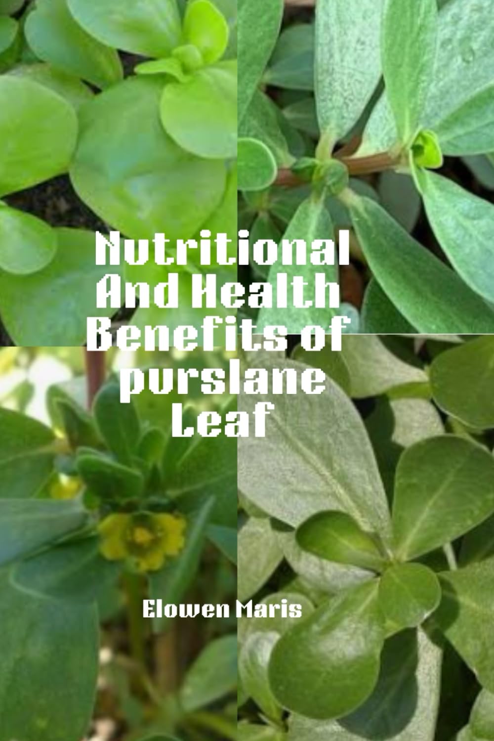 Nutritional And Health Benefits of Purslane Leaf