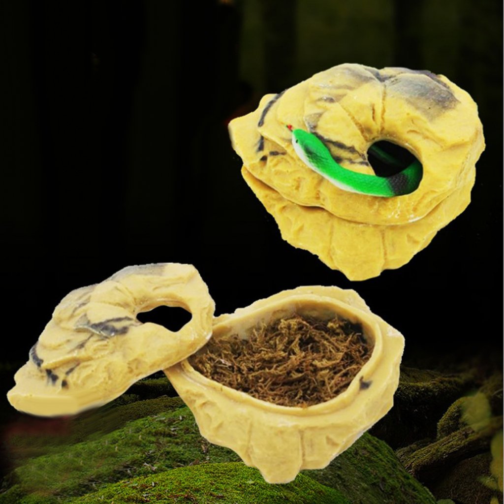 Set di 2 grotte nascoste in resina per rettili con coperchio, decorazione ornamentale a forma di tartaruga a forma di pesce