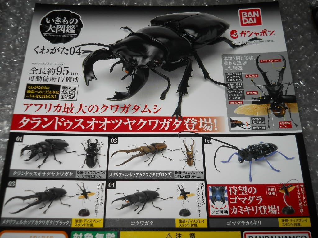 いきもの大図鑑 くわがた01 全4種 ノコギリクワガタ 黒 赤茶色