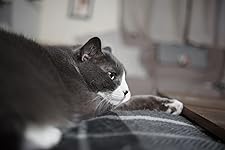 Review Image by Duckˑ Duckˑ