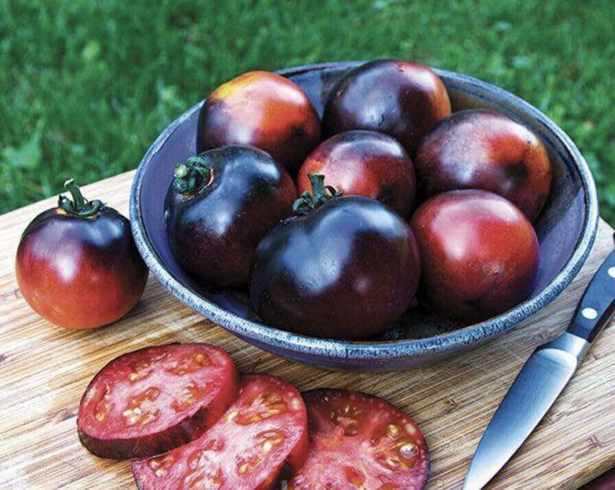 Buy4seeds 4 Seeds Tomato Indigo Rose Useful for Garden and Outdoor