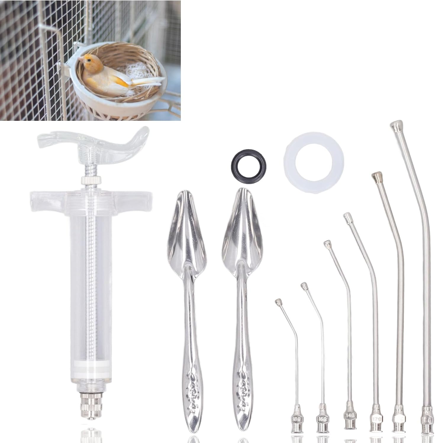 Bird Feeding Syringe, Bird Feeding Syringe Professional