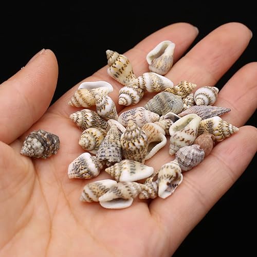 Miniatura 10 de Zotoone Adornos de pecera de caracola natural, cuentas hechas a mano para hacer joyas, manualidades, pulsera y accesorios, Piedra, vidrio aventurina