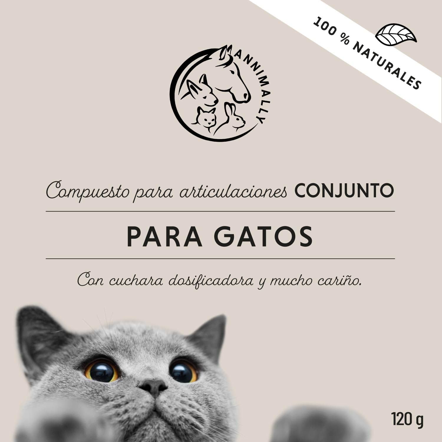 Annimally Polvo Articular Gatos | 120g para 4 Meses - La Alternativa a Las tabletas para articulaciones. Polvo articulaciones saludables con mejillón de Labios Verdes, MSM, Garra del Diablo