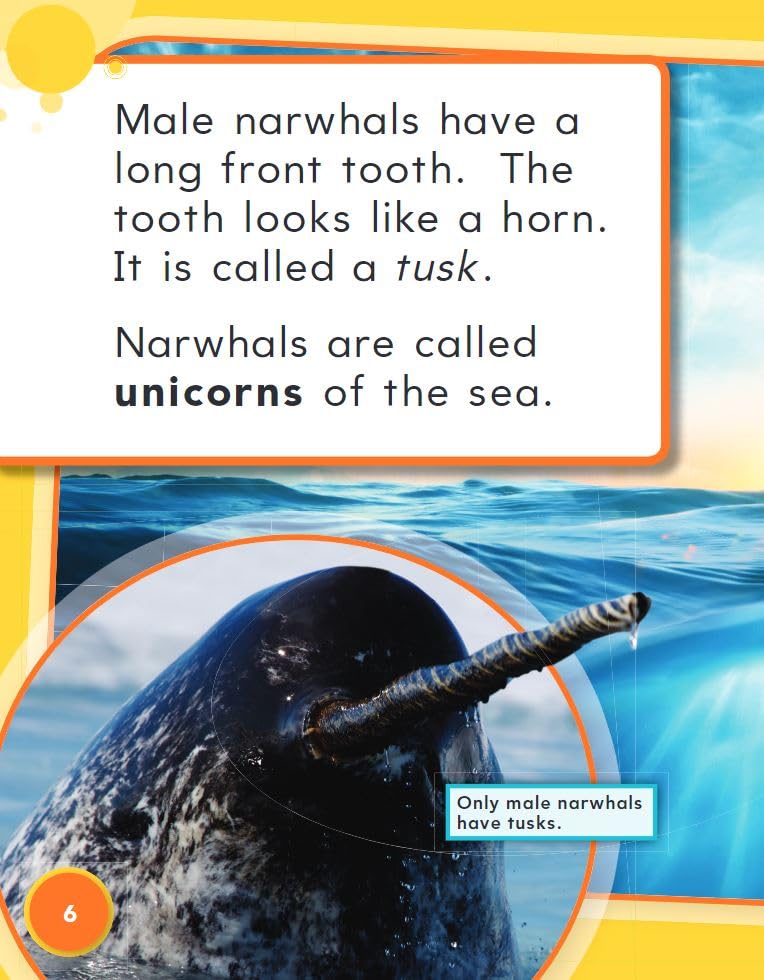 Teacher Created Materials 27331 Amazing Animals: Narwhals: Addition (Mathematics in the Real World) - Image 6