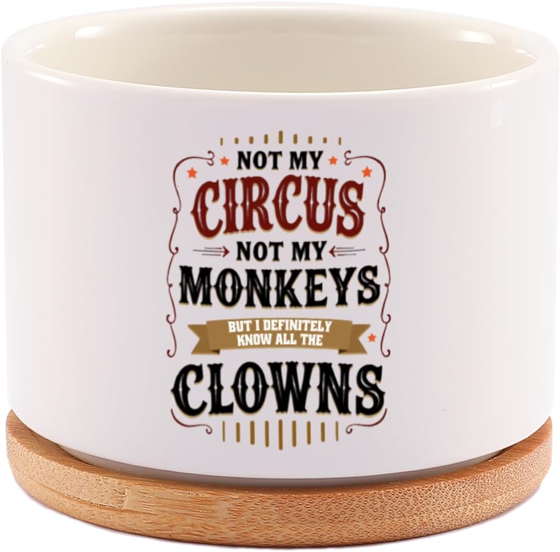 Not My Circus Not My Monkeys But I Definitely Know All The Clowns Funny Sarcastic Gifts For Coworker Friends Ceramic Succulent Plant Pot with Bamboo Tray Home Office Decor 3.5 Inch White (No Plants) image 2