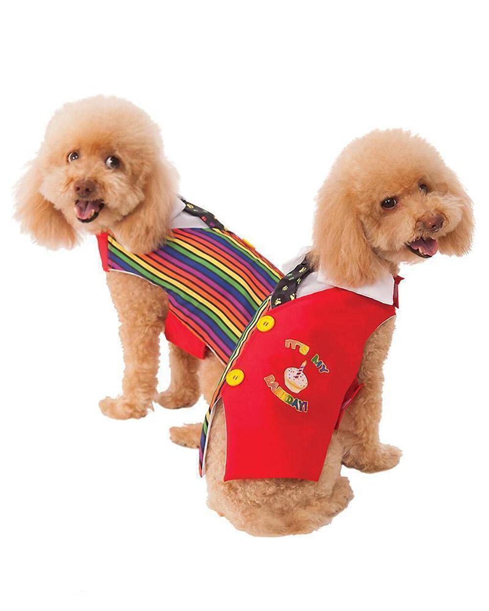 Gilet Barkday Rubie's petite taille : habit de fête confortable pour chien