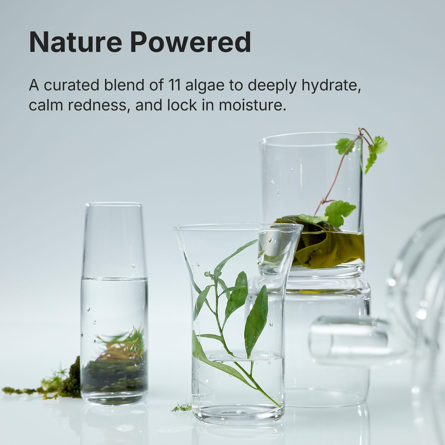 Calming Hydration Cream, Barrier-Repairing Korean Moisturizer with Ceramide NP, Niacinamide, Panthenol & Centella, Soothing Face Cream for Redness-Prone and Oily Skin, 50ml / 1.69 fl.oz. - Image 4