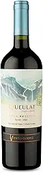 Ventisquero Vinho Queulat Maipo Syrah Tamanho: 750